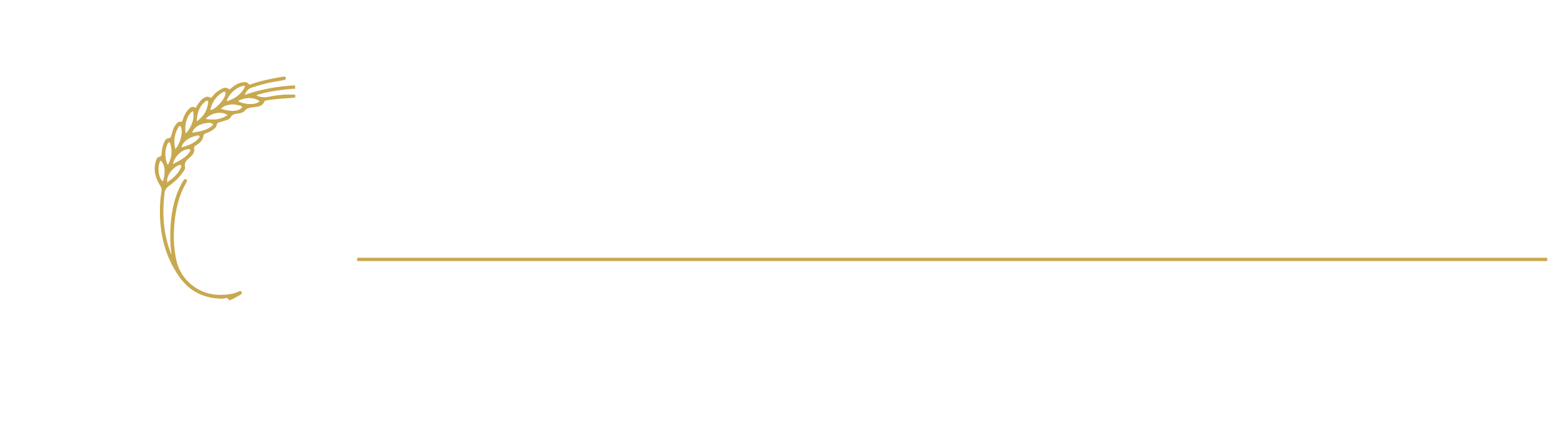 Rocha Firme Soluções & Licitações